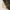 Paperclip Chain | Gold