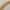 Figaro Chain | Gold | 4MM