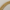 Cuban Chain | Gold