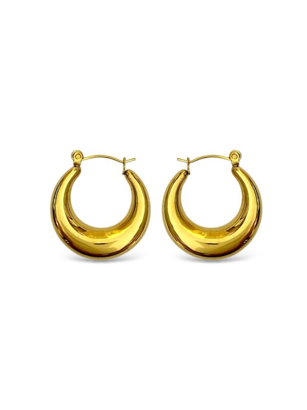 Hailey Hoops Earrings